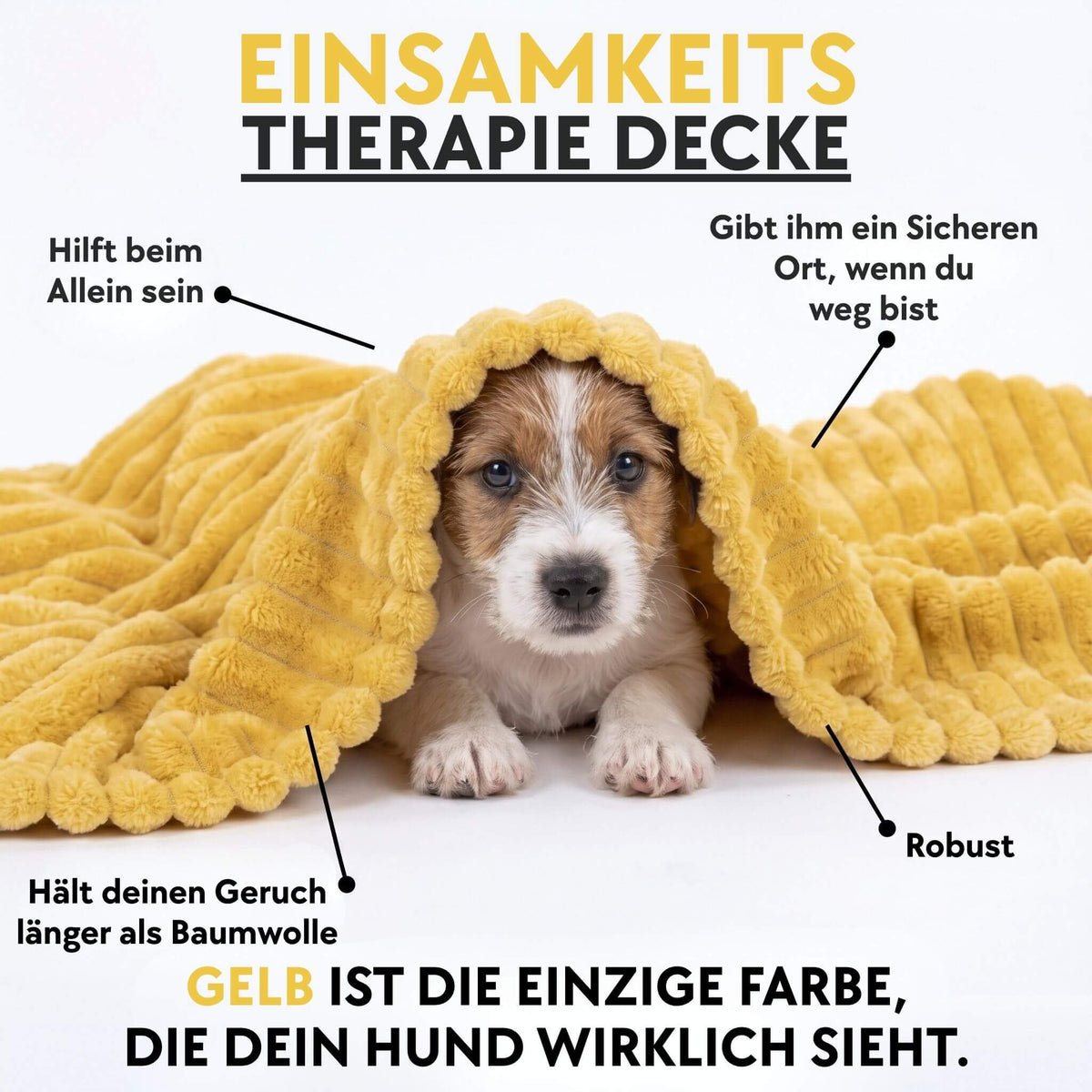 EINSAMKEITS THERAPIE DECKE